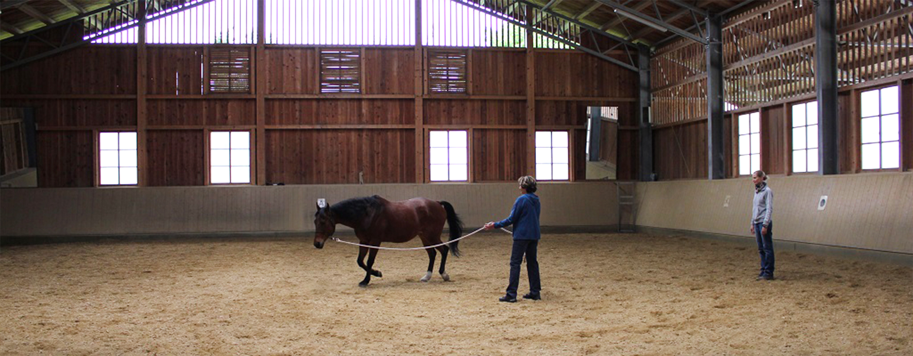 Reittherapie Sophie Oswald - Reitanlage und Reitstall